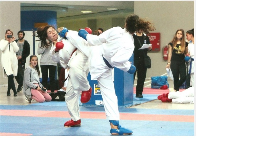 karate1